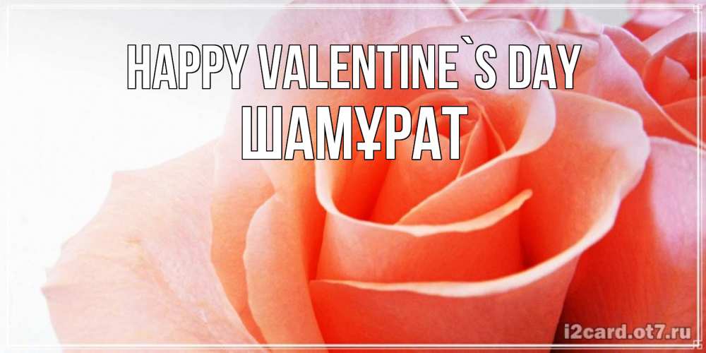 Greetings card с именем, ШАМҰРАТ Happy Valentine`s Day открытка на день Святого Валентина с розовой розой Greetings with text for free download 